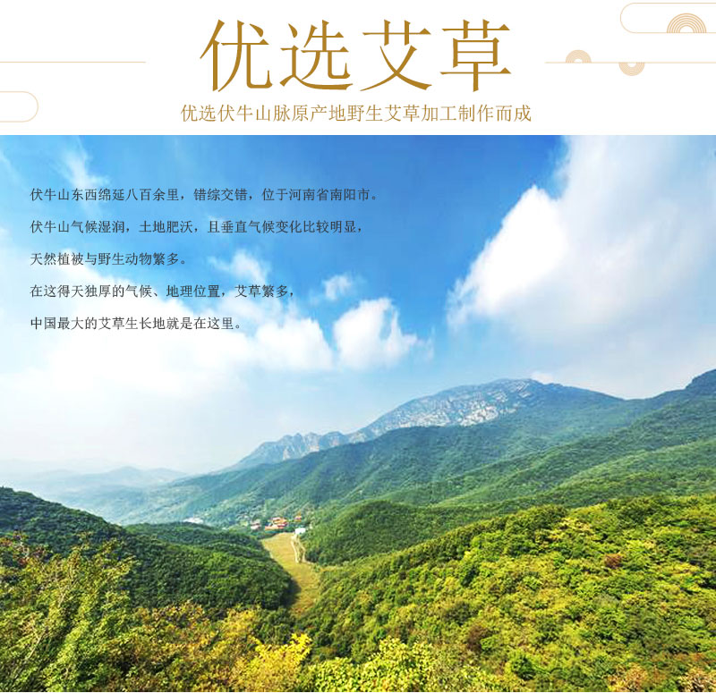 端午前后，艾草还有哪些用处呢？